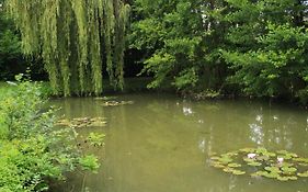 Les Petits Cailloux